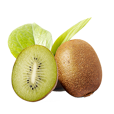 开云登录平台产品中心六